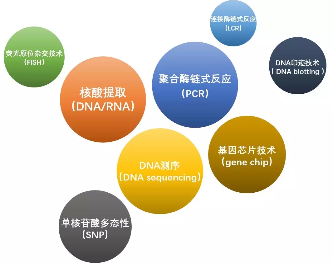 \ԽԽcԽԽЈԽԽ