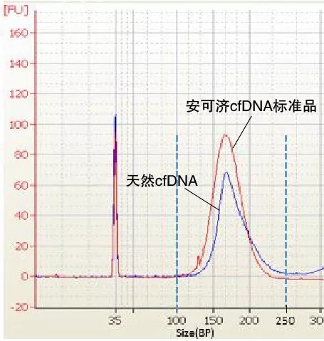 (gu)(ni)ׂ(g)ƷctDNA(bio)(zhn)ƷԇС