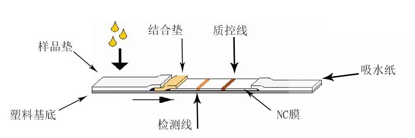 34ͨ^(chung)t(y)е،IVDI(y)о(dng)