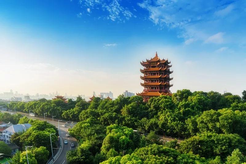 紨vvhꖘ䡿DӡʮЇtԺԺL