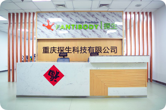 ذ̽ƼyοԭϮaƷACACLP