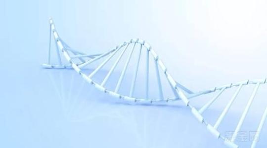 快速及耐受PCR抑制劑的KAPA PCR擴(kuò)增酶