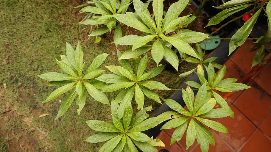 ˎO_ȫӏtе|Oܹ}ҕԒh