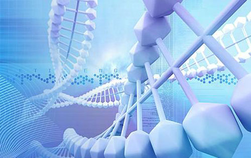 CMDEaƷЧ&עԆԪPQ&AɄt