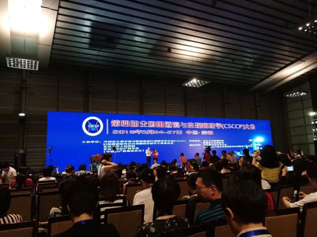 ČCSCCP | MӌmiA hŮԌmi