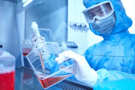 ɽίҪѰS\aƷ NGSCϙzygи