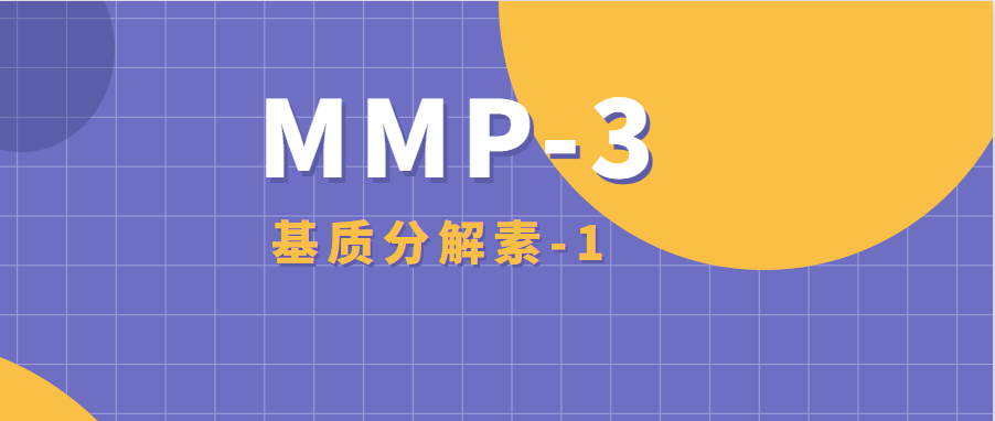 自免關(guān)鍵指標(biāo)MMP-3解析(文末免費(fèi)申領(lǐng)配對(duì)抗體)