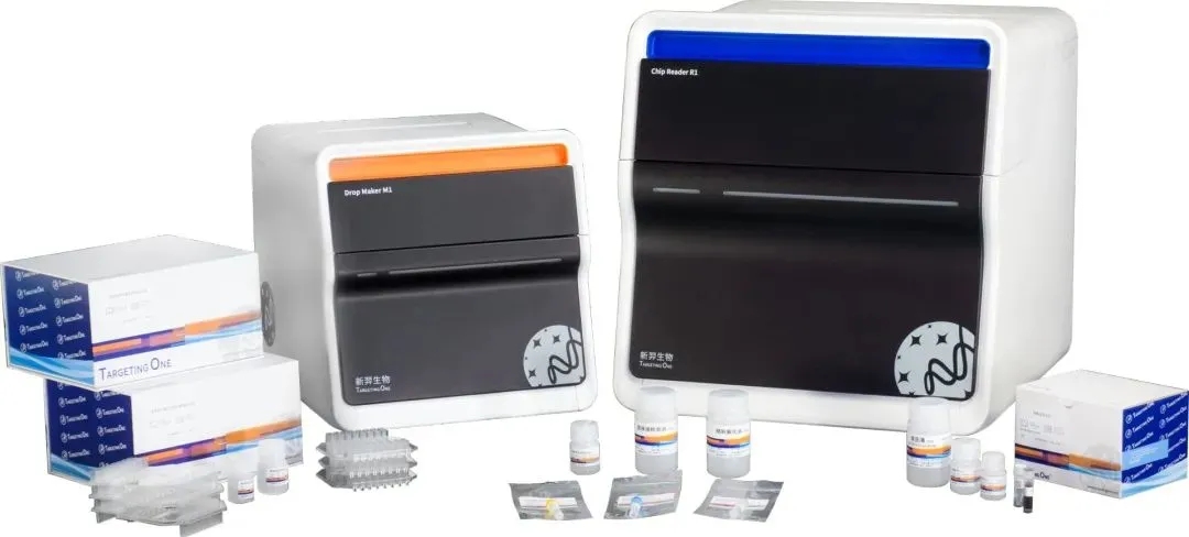 Ї(sh)PCRI(lng)YY큆I(lng)ͶA(chung)Y͸겄(chung)ͶȸͶ