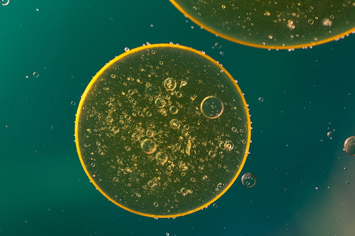 FDA2022t(y)еע(c)M(fi)(bio)(zhn)