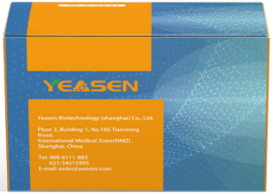 ȫﶻǧԭIṩzyԇп_l