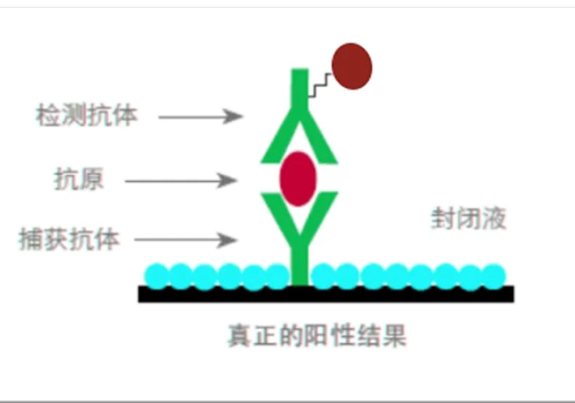 ߙzyУЧӱă(ni)ԴԸɔ_ͨGU Blocker һ֮