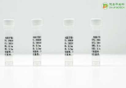 ӡ-ӆُޣIVDԭIԓԾȣ