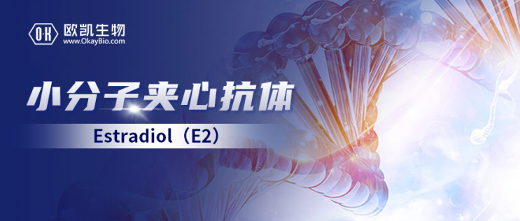 СӊAġƶE2AĿwڰl⼰ƽ_đ