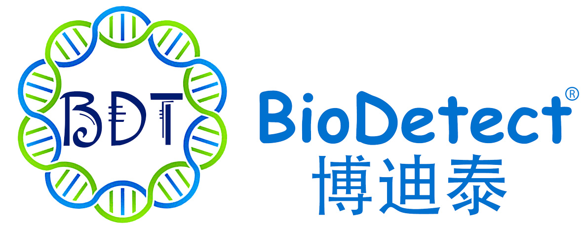 ذ | ̩տȗUzyԇϲ@CؔUC